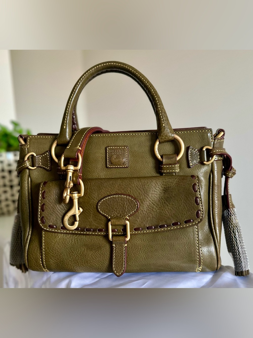 Dooney & Bourke Florentine Medium Pocket Satchel in Moss - Picture 16 of 16